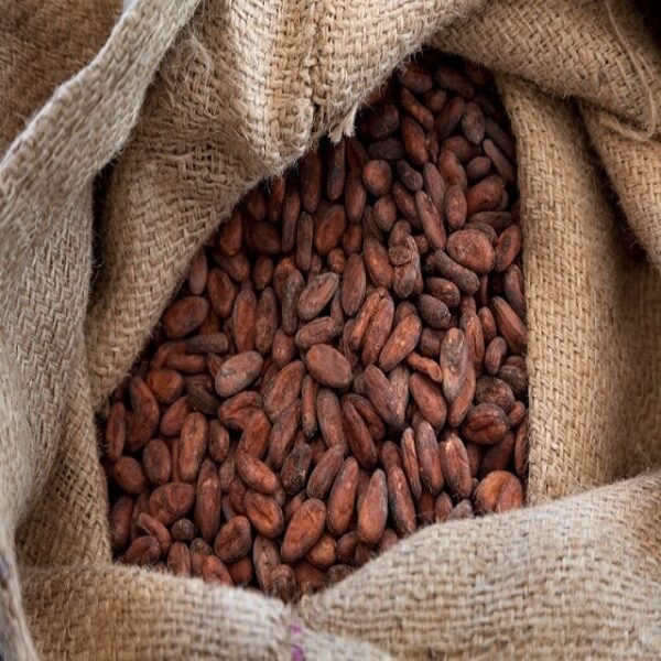 Cocoa beans