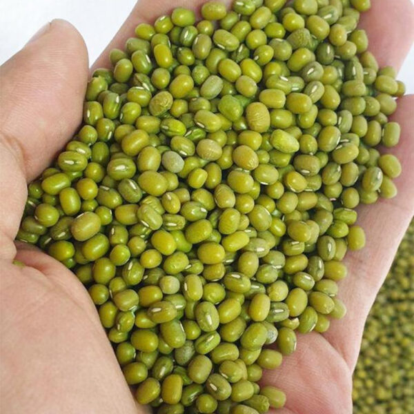 Vigna Mung Beans