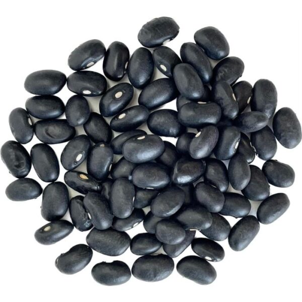 Black Kidney Beans